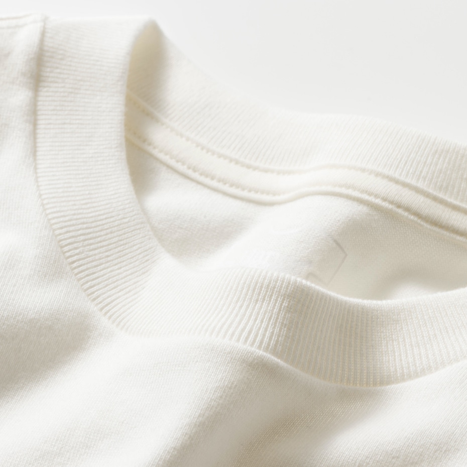 �傫���T�C�Y 2���g SHIRO �N���[�l�b�NT�V���c 26SS Hanes T-SHIRTS SHIRO (HM1-D701)