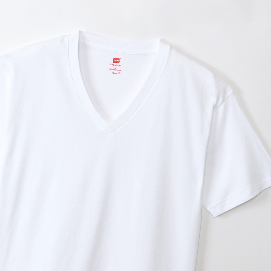 ヘインズ プレミアムジャパンフィット VネックTシャツ 22FW PREMIUM Japan Fit(HM1-V002)