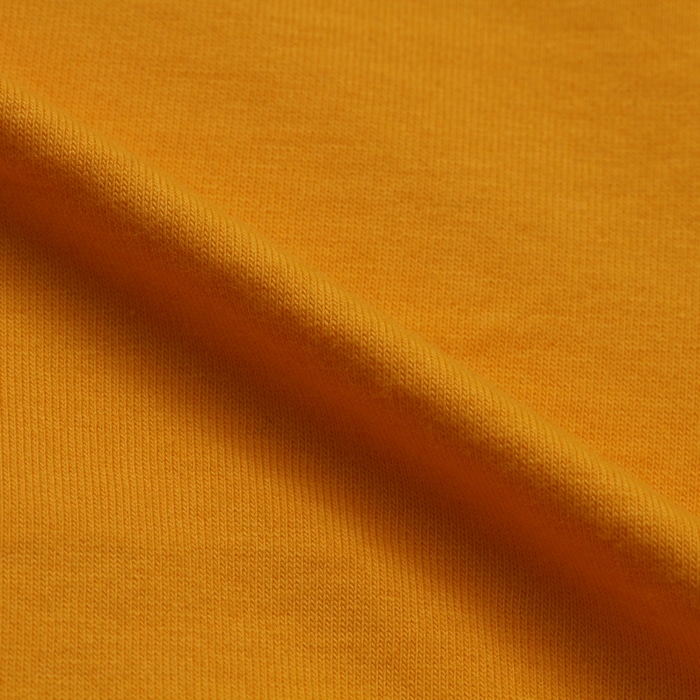 ＜FINAL SALE対象＞＜公式オンラインストア限定色＞ BEEFY-T Tシャツ 22SS BEEFY-T ヘインズ(H5180)