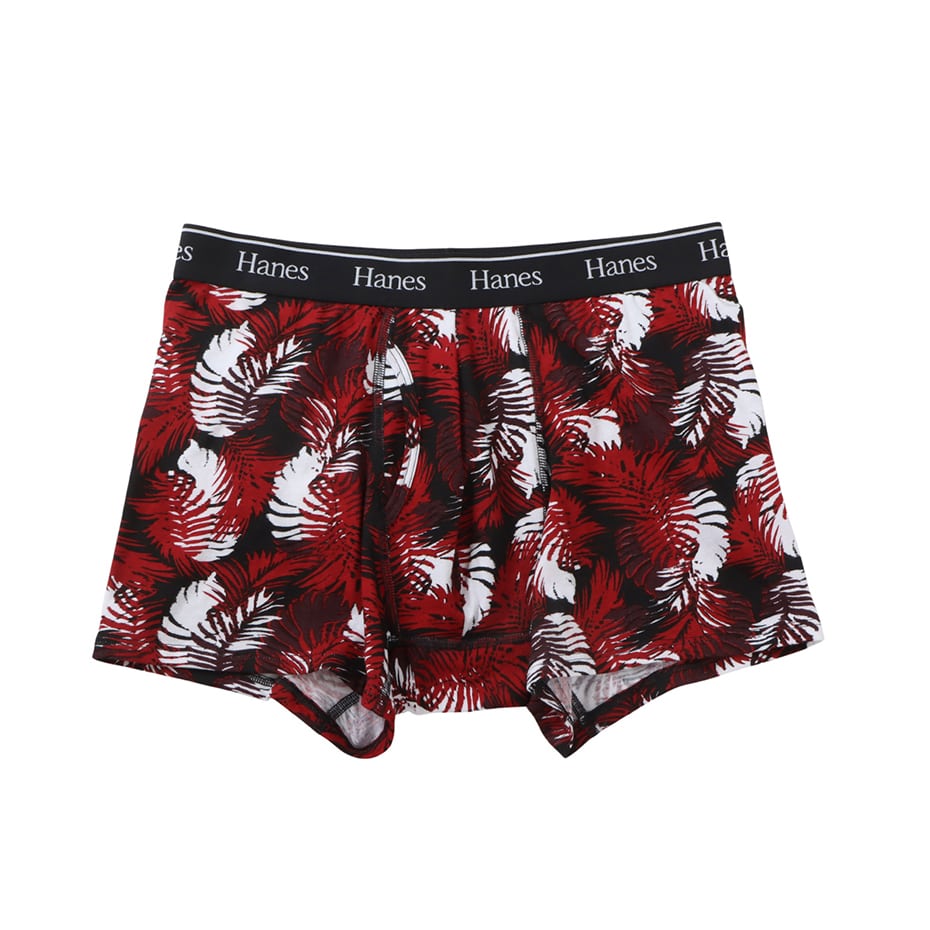 Hanes originals�{�N�T�[�u���[�t 26SS �w�C���Y(HM6ED205)