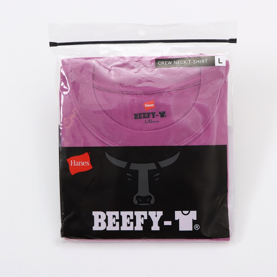 ＜20%OFFクーポン対象＞＜公式オンラインストア限定色＞ BEEFY-T Tシャツ 22SS BEEFY-T ヘインズ(H5180)