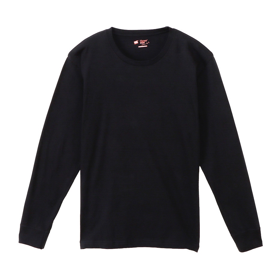 ジャパンフィット2枚組クルーネックロングスリーブTシャツ 5.3oz アソート  ヘインズの公式通販サイト