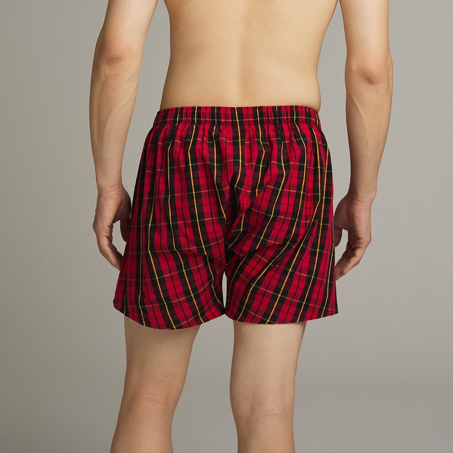 �g�����N�X �������X�^�[�^�� 25FH �|�� �����t ���[�����y�O�J���z(RM4-C102�j