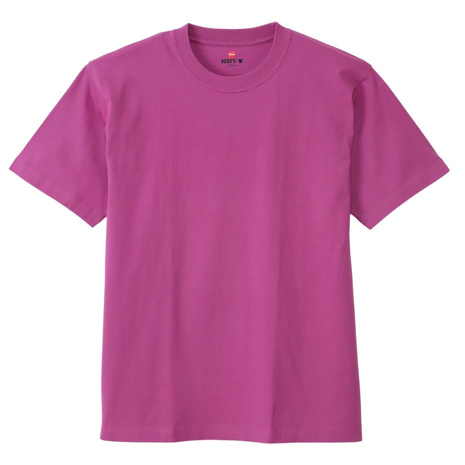 ＜20%OFFクーポン対象＞＜公式オンラインストア限定色＞ BEEFY-T Tシャツ 22SS BEEFY-T ヘインズ(H5180)