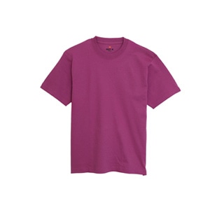 ＜公式オンラインストア限定色＞ BEEFY-T Tシャツ 22SS BEEFY-T ヘインズ(H5180)