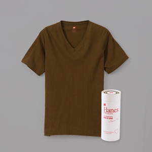＜OUTLET＞ヘインズ プレミアムジャパンフィット VネックTシャツ PREMIUM Japan Fit(HM1-F002)