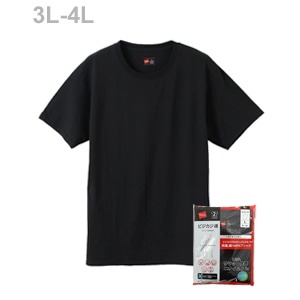 大きいサイズ【2枚組】ビジカジ魂 クルーネックTシャツ 22SS 魂シリーズ ヘインズ(HM1EN701K)