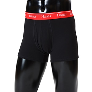 Hanes originals�R�b�g�����b�V�� �{�N�T�[�u���[�t 26SS �w�C���Y(HM6ED201)