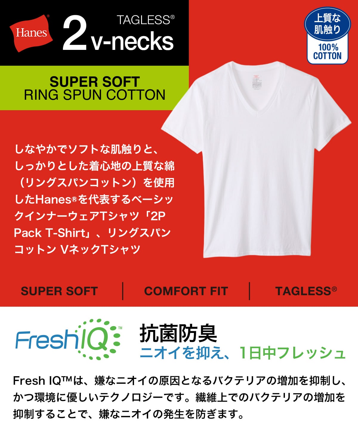 大きいサイズ【2枚組】RS VネックTシャツ ホワイト | ヘインズの公式